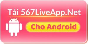 Tải app 567live cho android